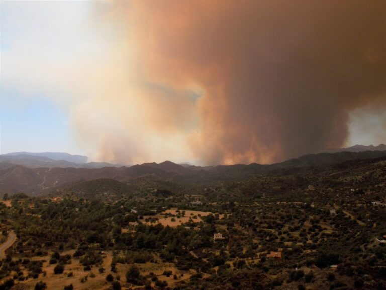Αrticle (in Greek) about forest fires by Dr. Dimitris Sarris (hosted by SigmaLive)